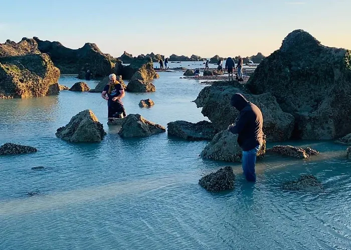 Espace Et Confort Villa Auppegard